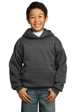 Port & Company - Youth Core Fleece Pullover Hooded Sweatshirt.  PC90YH