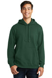 Port & Company Fan Favorite Fleece Pullover Hooded Sweatshirt. PC850H