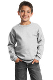 Port & Company - Youth Core Fleece Crewneck Sweatshirt.  PC90Y