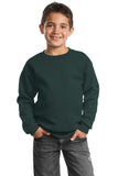 Port & Company - Youth Core Fleece Crewneck Sweatshirt.  PC90Y