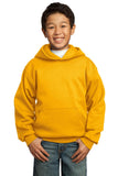 Port & Company - Youth Core Fleece Pullover Hooded Sweatshirt.  PC90YH