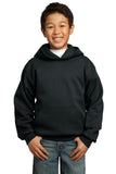 Port & Company - Youth Core Fleece Pullover Hooded Sweatshirt.  PC90YH