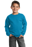 Port & Company - Youth Core Fleece Crewneck Sweatshirt.  PC90Y